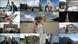 DW Sendung Euromaxx Zuschaueraktion Collage DW Sendung Euromaxx Zuschaueraktion Collage