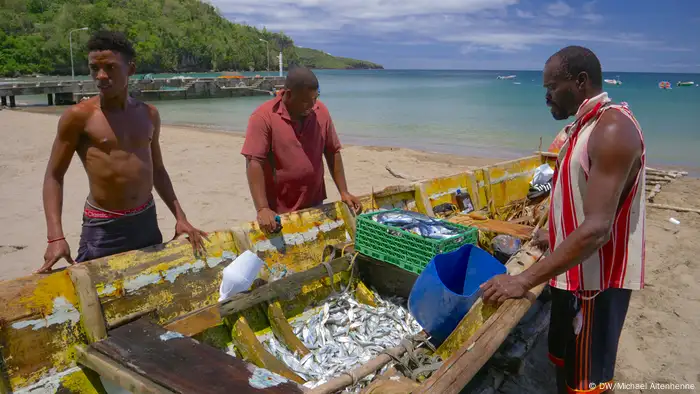 Westindien St. Lucia (DW/Michael Altenhenne)