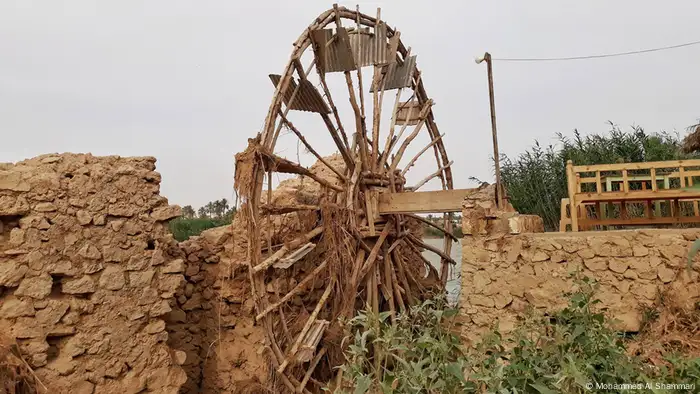 Irak Parlamentswahlen (Mohammed Al Shammari)