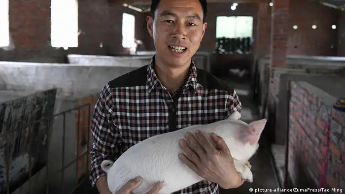 China Schweinezucht