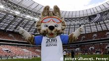 WM in Russland: Doch nicht reich durch Airbnb