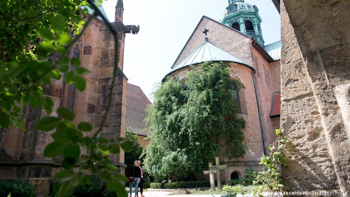 کلیسای هیلدس‌هایم (Hildesheim) بسیار قدیمی است، اما گل رز آن از خود کلیسا هم قدیمی‌تر است. روایت است که یک گل رز وحشی ظرفی مقدس را در خود احاطه کرده بود. قیصر لودویگ در سال ۸۱۵ میلادی دستور داد در این محل صومعه‌ای تاسیس کنند. صومعه هیلدس‌هایم به مرور زمان به کلیسای جامع تبدیل شد. 