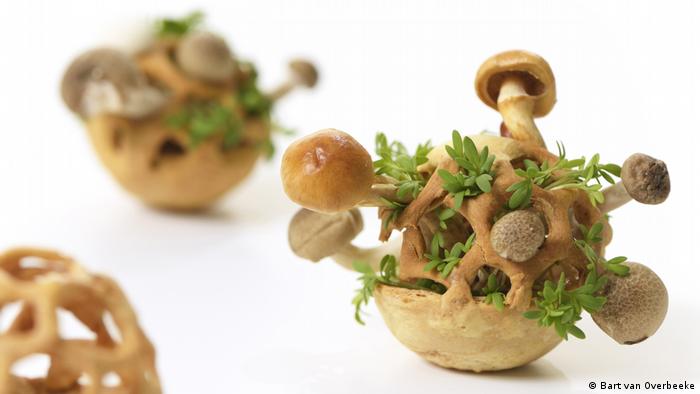 Teigkörbchen mit Pilzen und Kresse. Aus dem Projekt Essbares Wachstum von Chloe Rutzerveld. (Bart van Overbeeke)