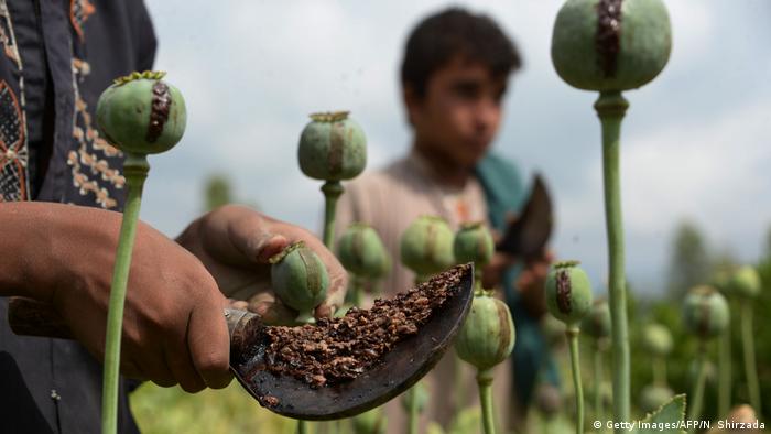 Afghanistan Drogen Opium Gesellschaft