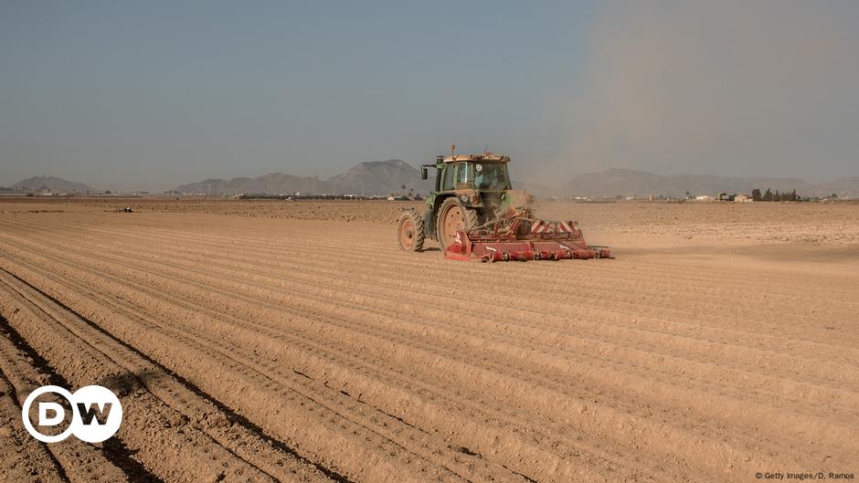 Spanien leidet an seiner Landwirtschaft