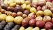 Las papas, el arroz y el trigo serían los cultivos de alimentos básicos más afectados por el calentamiento global. Las papas, el arroz y el trigo serían los cultivos de alimentos básicos más afectados por el calentamiento global.