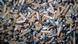 Dozens of cigarettes butts Dozens of cigarettes butts