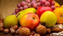 colorful assorted of fruits on fabric background
