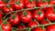 Cherry Tomaten Cherry Tomaten