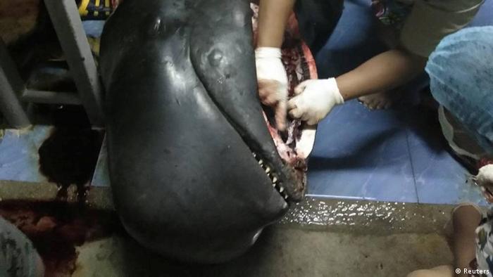 Thailand Wal verendet an mehr als 80 Plastiktüten im Magen (Reuters)