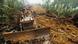 Bulldozer cutting logging road through rainforest on Borneo Bulldozer cutting logging road through rainforest on Borneo