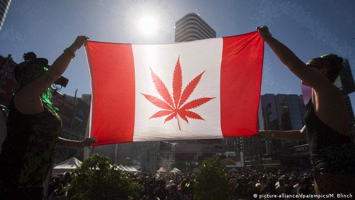 Нижня палата канадського парламенту легалізувала марихуану