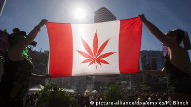 курение марихуаны в канаде