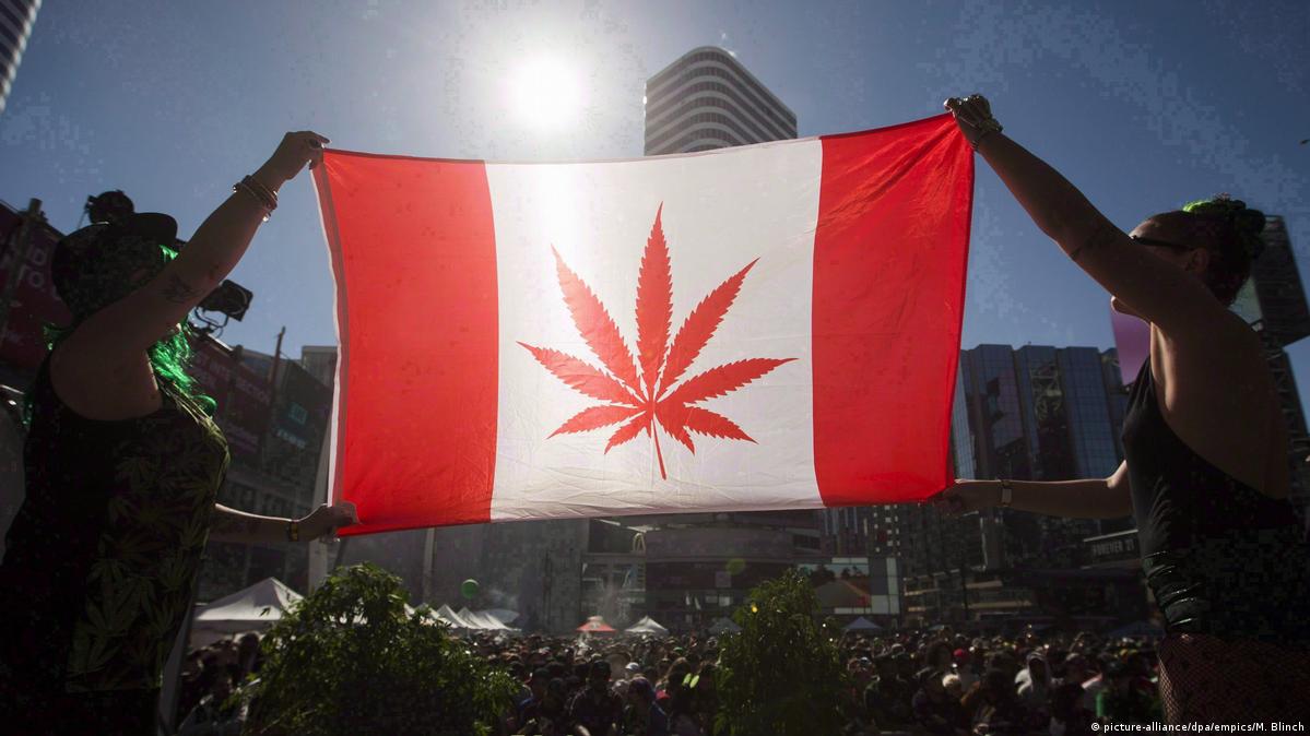 Законы канады о марихуане жареха из коноплю видео