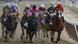 Belmont Park Pferderennen Justify Belmont Park Pferderennen Justify