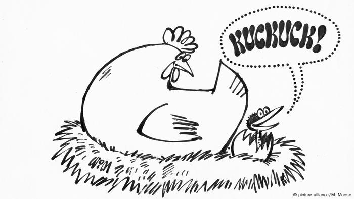 Symbolbild, Wörter der Woche: Huhn legt Ei und es schlüpft ein Kuckuck (Kuckucks-Kind) (picture-alliance/M. Moese)