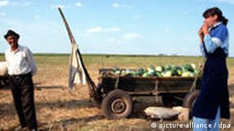 România agricultură de subzistenţă în anii 1990
