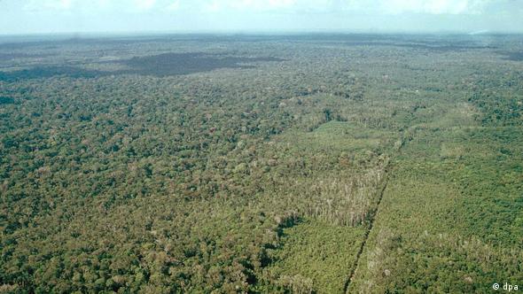 Amazonas (Foto: ap)