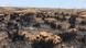 Burned fields in Israel Burned fields in Israel