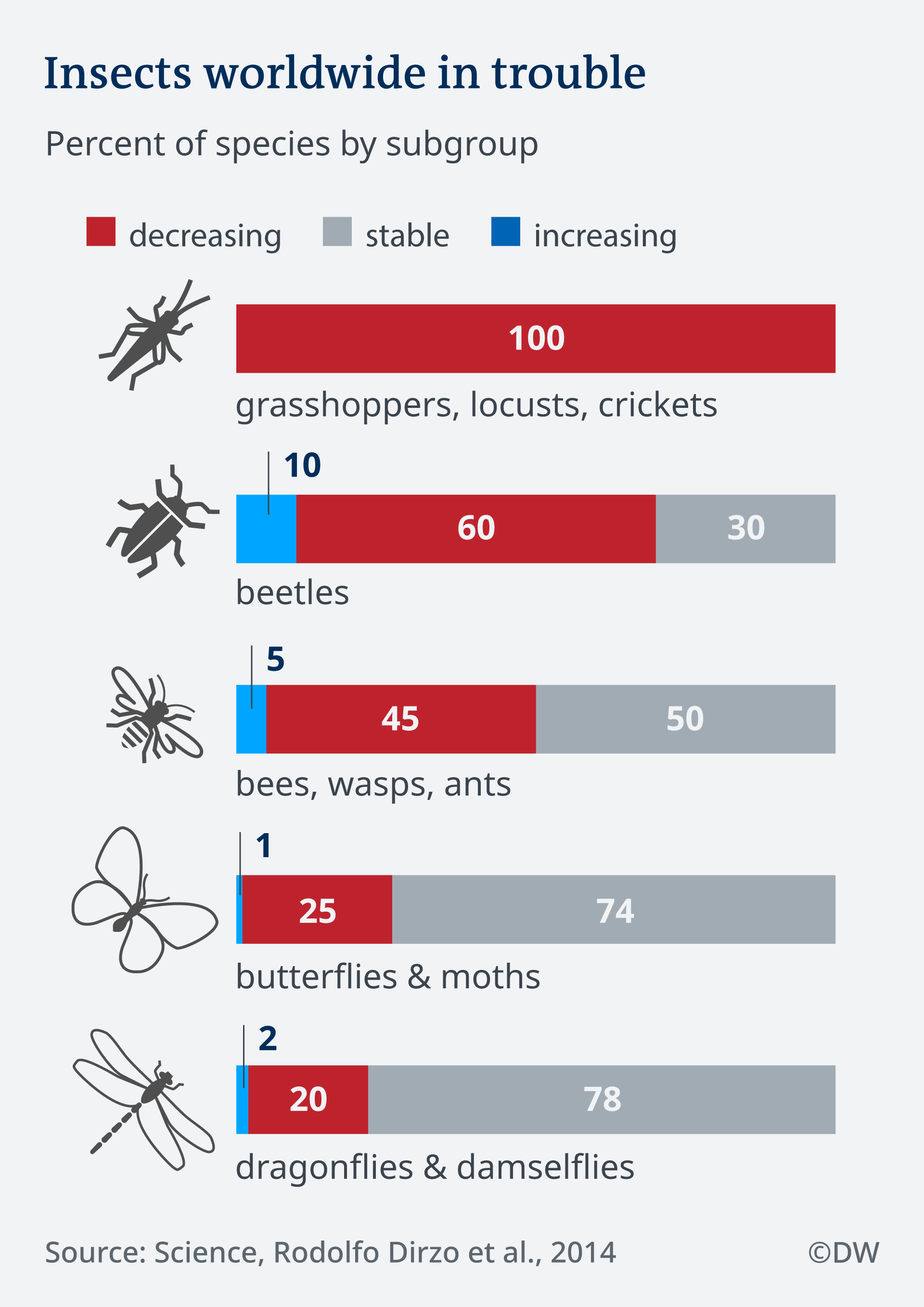Insects worldwide in trouble