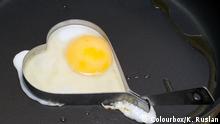 هل يزيد البيض من خطر الوفاة بأمراض القلب والأوعية الدموية؟