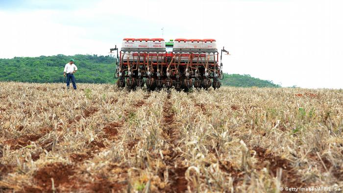 Agriculture is big business in Brazil: cereal production in 2018 is estimated at 99 million tonnes 