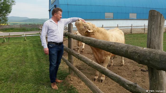 Преките аграрни субсидии на ЕС привличат различни мафиотски структури в