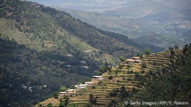 Pakistan - Baumplantagen in Buner und Herosha