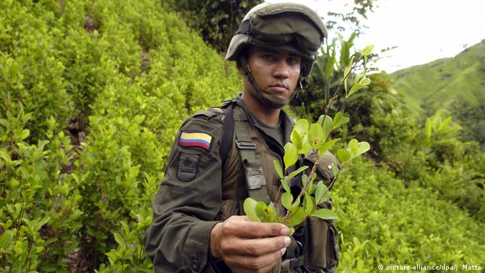 Lucha contra el cultivo de cocaína en Colombia.