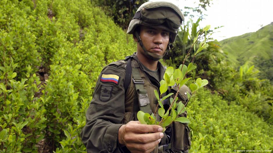 Colombia eleva su objetivo de erradicación de cultivos ilícitos |  Destacados | DW | 27.06.2018