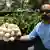 Ian Bartoszek holding a clutch of 40 python eggs.