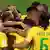 FIFA Fußball-WM 2018 in Russland | Brasilien vs. Serbien | Jubel Brasilien (1:0)