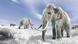 Woolly mammoths walking in a snow-covered field Woolly mammoths walking in a snow-covered field