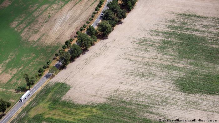 Dry farmland in Germany (picture-alliance/dpa/R. Hirschberger)
