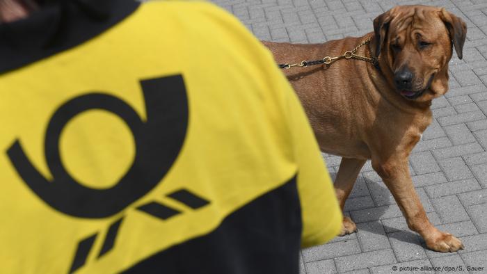 BdT Hundetraining für Postboten BdT Hundetraining für Postboten