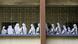 Nuns from Mother Teresa's Missionaries of Charity order standing in a line in Kolkata Nuns from Mother Teresa's Missionaries of Charity order standing in a line in Kolkata