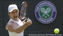 Halep tiene nuevo entrenador: Thierry van Cleemput
