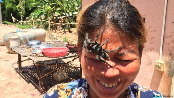 Tarantulas Cambodia S Disappearing Delicacy Environment All Topics From Climate Change To Conservation Dw 15 08 2018