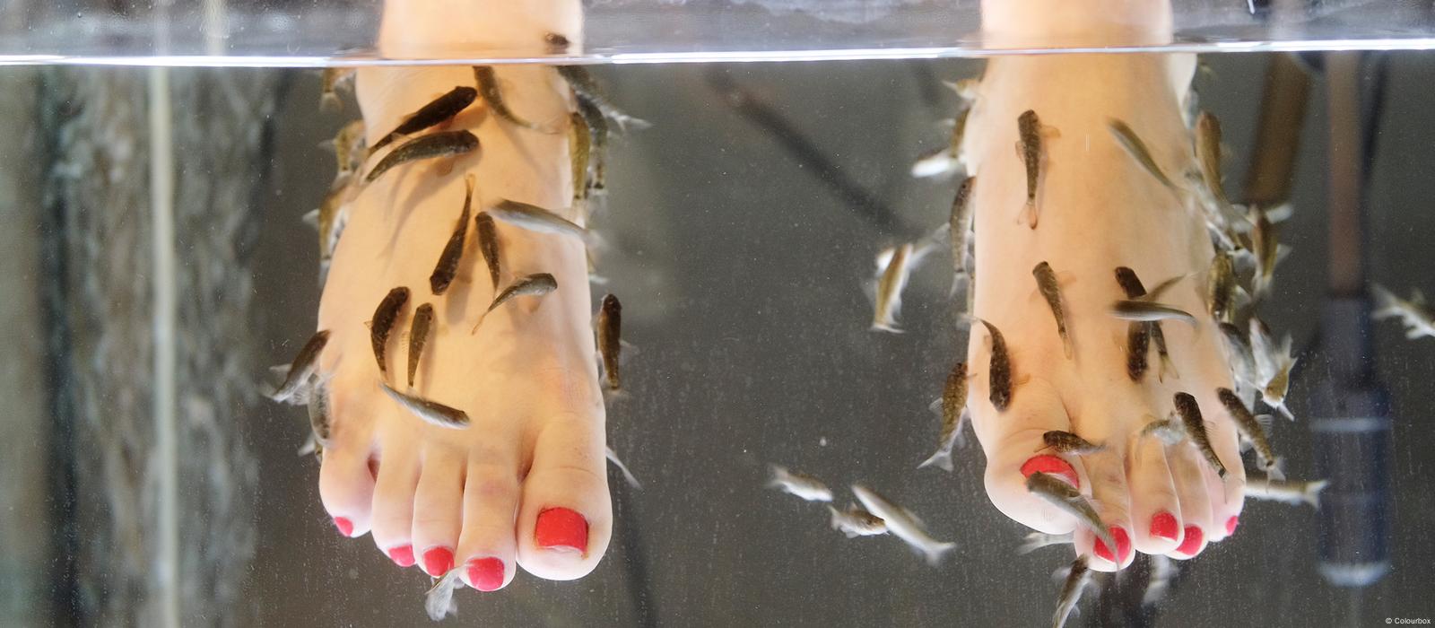 Fish Pedicure: Risks, Benefits, Safety, and Ethical Concerns