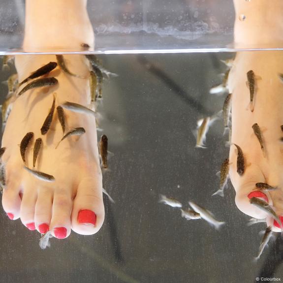 Fish Pedicure: Risks, Benefits, Safety, and Ethical Concerns