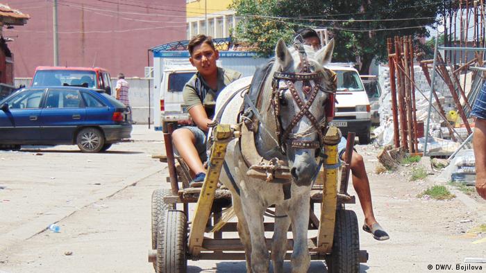 a boy rides a horse-drawn wagon in a street