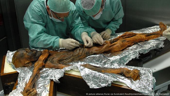 Otzi Study Sheds Light On 5 000 Year Old Alpine Diet News Dw 12 07 2018