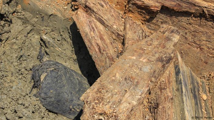 Archaeological dig site at Wijtschate, Belgium, excavating remnants of a World War I trench network; photo taken 06.07.2018. A very rare find: a sandbag still intact despite around a century below the earth. It appeared to have been preserved by timber that had collapsed on top of it. (DW/M. Hallam)