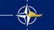 Cartoon showing blonde hair on NATO symbol Cartoon showing blonde hair on NATO symbol