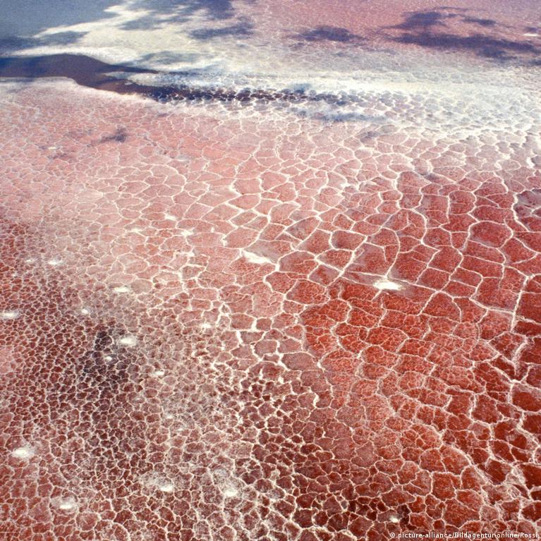 Our Beautiful Planet: Tanzania's crimson 'stone animal' lake – DW –  07/19/2018