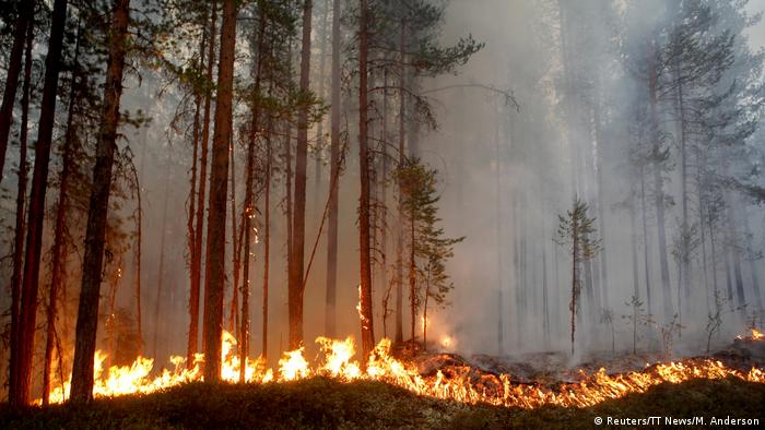 Swedish wildfire