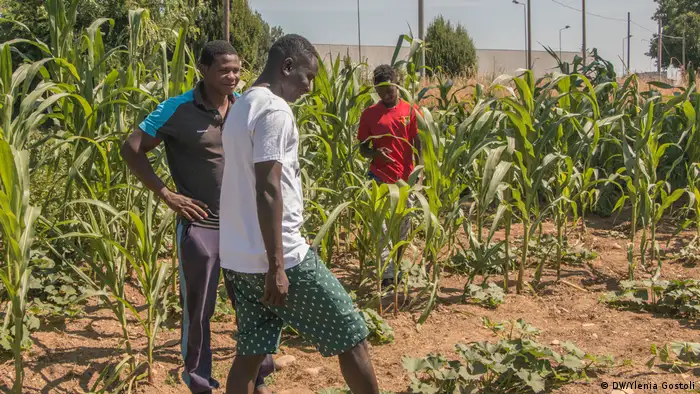 Flüchtlinge in Italien betreiben eigenen Bauernhof