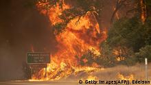 California, en estado de emergencia por los incendios, Martín Vizcarra anuncia referéndum para reformas política y judicial y otras noticias