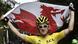 Welsh flag Welsh flag