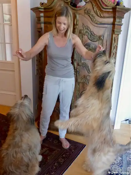 Los perros de su hija Carol dan vida a la casa.